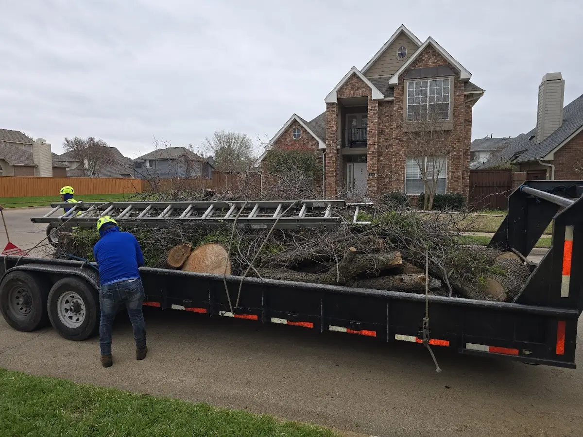 Expert Tree Removal with proper safety equipment in Beech Island